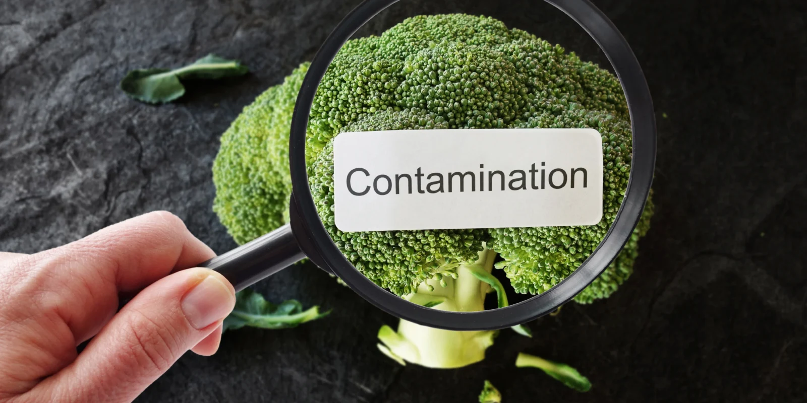 Foodborne Illness Statistics You Need To Know