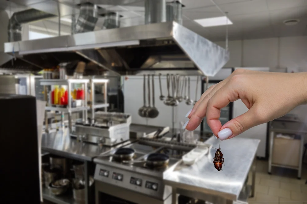 Pest-Proofing Your Food Establishment