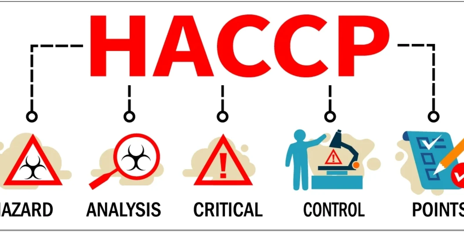 How HACCP Principles Influence State Food Handler Training Programs