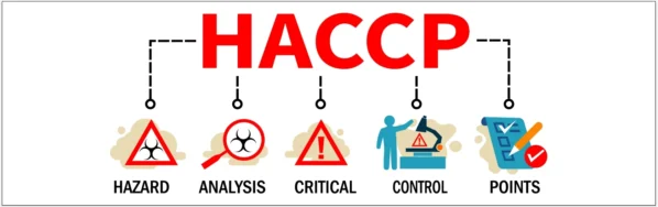 How HACCP Principles Influence State Food Handler Training Programs